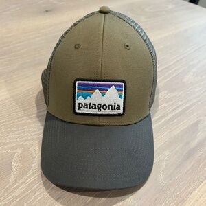 Patagonia Logo Trucker Hat